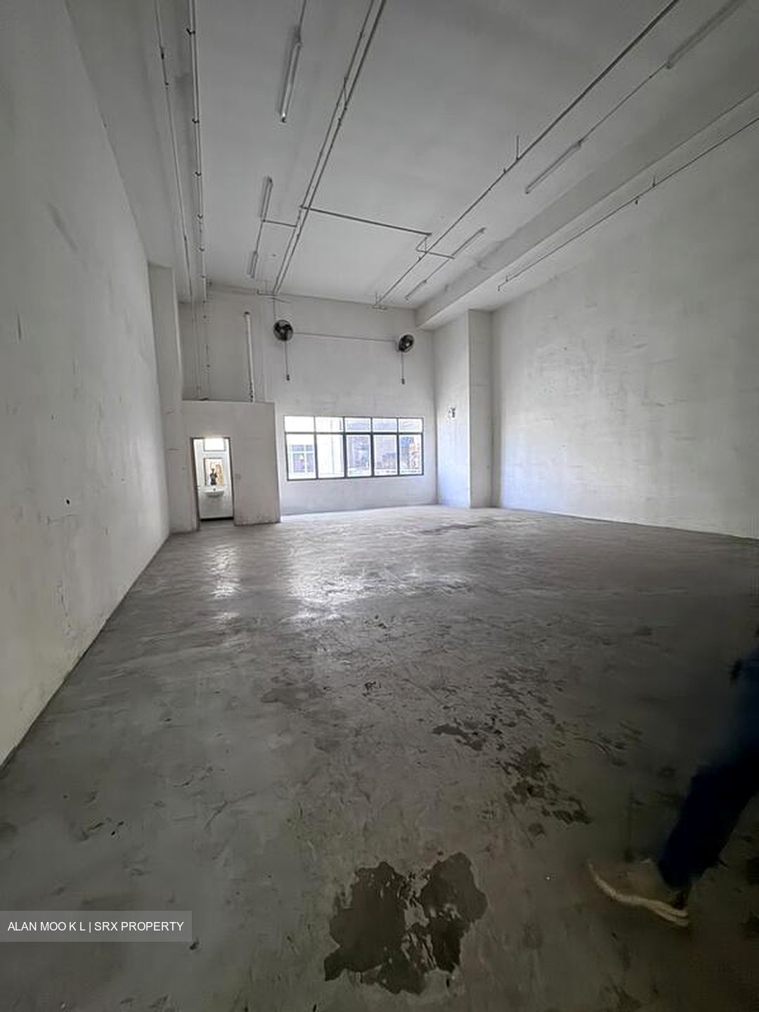 North Spring Bizhub (D27), Factory #459452101
